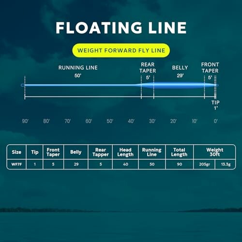 Diagram of a floating weight forward fly line with measurements